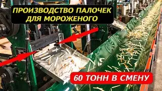 Производство палочек для мороженого 60 тонн в смену