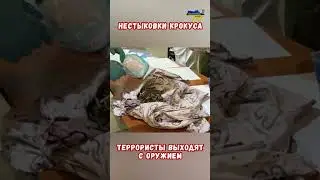 Кто подбросил оружие в Крокус? Раскрытие секретов теракта 