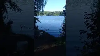 Итог ночной рыбалки на Вяче.