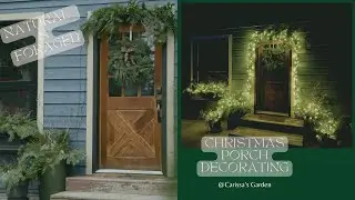 Natural, Foraged Christmas Porch Decorating || Carissa's Garden || forage the property with me