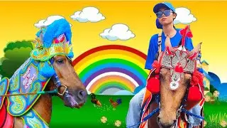 Naik Kuda Cantik ‼️Kuda /Horse/ Kuda Sumedang / Cover Rahmatan Lilalamin Populer /Lagu anak Populer
