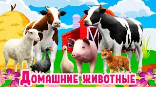 Учим домашних животных для детей  Как говорят животные корова лошадь петух Имена и звуки животных