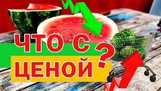 Что с ценой? 🍉 Обзор новинок 🍉 24 07 21