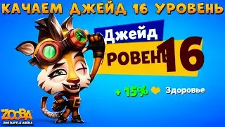 КАЧАЕМ СТИМПАНК ТИГРА ДЖЕЙД НА 16 УРОВЕНЬ В ИГРЕ ZOOBA
