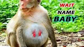 JANE WAIT NAME NEW BABY  / JANE WAIT WELCOME CUTE BABY COME SOON