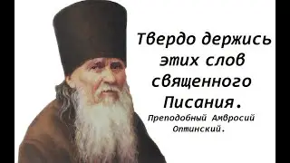 Не надейся и не ищи безоблачной и спокойной жизни. Преподобный Амвросий Оптинский.