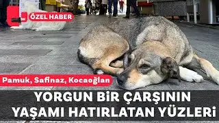 Duvarları yorgun bir çarşının ‘yaşamı hatırlatan’ yüzleri... Pamuk, Safinaz, Kocaoğlan