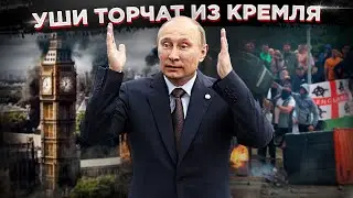 Неожиданно: что общего между боксом на Олимпиаде и протестами в Британии, и кто за этим стоит