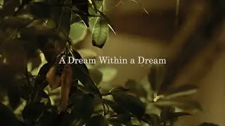 A Dream Within a Dream by Edgar Allan Poe