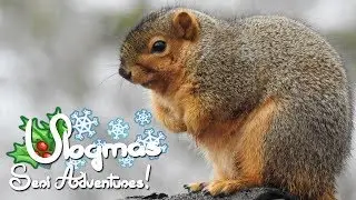 Spark an Adventure 🎄 Vlogmas 2018 ❄️ ... by which I mean neurogenesis!