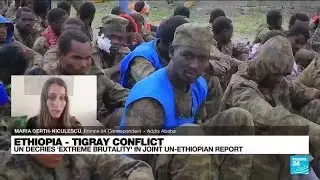 Possible crimes against humanity in Tigray, joint UN-Ethiopia investigation reports • FRANCE 24