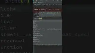 Python String Manipulation 