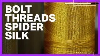 Bolt Threads uses spider silk to make apparel