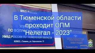 На территории Тюменской области проходит оперативно-профилактической операция «Нелегал 2023»