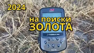 МЖК. Я просто в ШОКЕ от этого.  Коп с металлоискателем на месте где находили ЗОЛОТЫЕ ЦАРСКИЕ монеты!