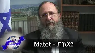 Weekly Torah Portion: Matot