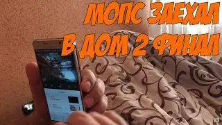 Мопс заехал в  дом-2. Финал