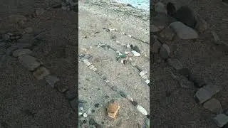 Свинтусы на курорте.