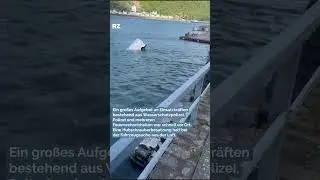 Auto rollt an der Fähre St. Goar in den Rhein #shorts