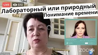 В какое время мы живем? Ольга Голикова и Елена Никитская