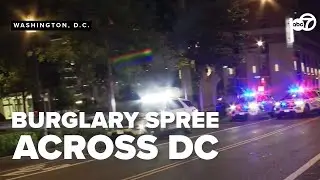 5 arrested after multiple burglaries throughout D.C.