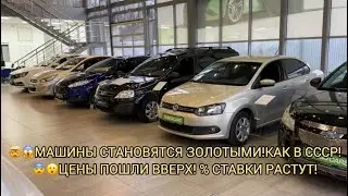 😱НЕДОСТУПНОСТЬ Б/УШКИ ВСЁ ВЫШЕ! ЦЕНЫ ПОШЛИ ВВЕРХ! ПРОЦЕНТ ПО КРЕДИТУ ВВЕРХ 🤯! ДЕКАБРЬ 2024!