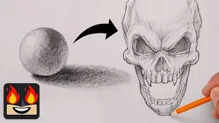 How To Draw Light and Shadow for Beginners