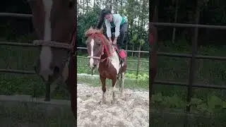 Horse riding horse running full speed 2
