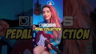 MY GUITAR PEDAL COLLECTION! 😱