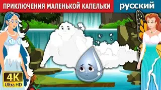 ПРИКЛЮЧЕНИЯ МАЛЕНЬКОЙ КАПЕЛЬКИ | The Adventures of a Little Drop in Russian | Russian Fairy Tales