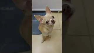 А это идея!😁😁😁 