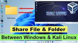 Share File & folder Between Windows 11 and Kali Linux | Transfer Files from Kali Linux to Windows
