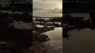 Отливы | Атлантический Океан | Канары
