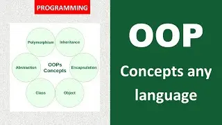 Essentials Concepts of OOP | Features of OOP | Object Oriented Programming