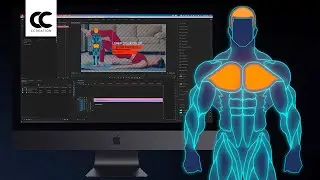 ccGym Graphics for Adobe Premiere Pro Tutorial | CCreation