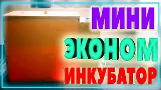 МИНИ ЭКОНОМ ИНКУБАТОР || @ALPHA Aziko