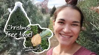 🌲 Starting To Look A Lot Like VLOGMAS~ 🎄 Trees, Mantis Eggs & Cultivating Joy!