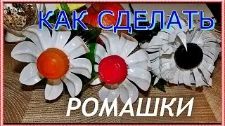 █ Как сделать РОМАШКИ и ЦВЕТЫ из пластиковых бутылок.Своими руками. How to make flowers.