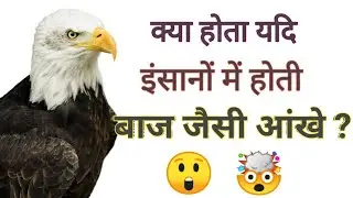 यदि इंसानों में होती बाज जैसी आंखे? || facts on eagle || eagle eye vision || in short