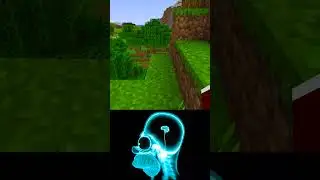 -966696 IQ vs -699669 IQ Minecraft 🦧🤡💀 (World’s Smallest Violin) 