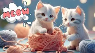 Cat meowing Cute kittens meowing to the music Cat meow