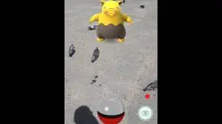 Pokemon GO / Покемон го одиш