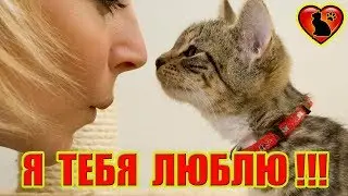 Так Вот Каких Людей Любят Кошки! Каких Людей Выбирают Кошки?!