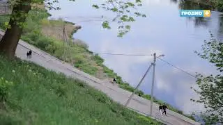 Какой будет погода на этой неделе?