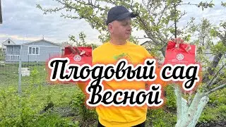 Как правильно подкармливать…