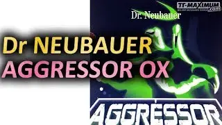 Test block & chop-block DR NEUBAUER Aggressor OX on Firewall Plus средние шипы