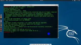 How to remove Wine on Kali Linux