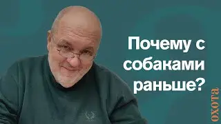 Почему с собаками раньше? Валерий Кузенков о сроках охоты с собакой.