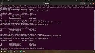 Python Remote Jobs On YouTube