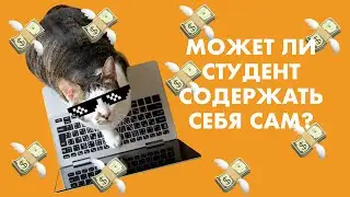 РАБОТА ДЛЯ СТУДЕНТОВ | Может ли студент содержать себя сам в Чехии?